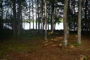 607 Burlington Beach Rd, Burlington, ME 04417 - Photo 20