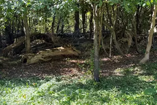 1068 Main St, Vassalboro, ME 04989 - Photo 64