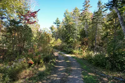 47 Tranquility Lane, Perry, ME 04667 - Photo 64