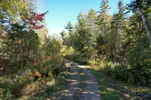 47 Tranquility Ln, Perry, ME 04667 - Photo 64