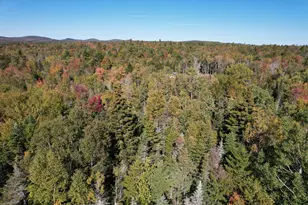 47 Tranquility Ln, Perry, ME 04667 - Photo 80