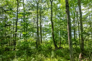 862 W Neck Rd, Nobleboro, ME 04555 - Photo 60