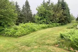 150 Leach Point Rd, Perry, ME 04667 - Photo 14