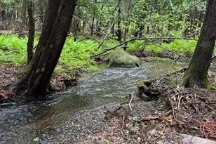 1698 Exeter Rd, Exeter, ME 04435 - Photo 42