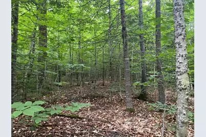 Lot 29 Scammon Road, Greenville, ME 04441 - Photo 1