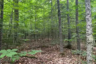 Lot 29 Scammon Rd, Greenville, ME 04441 - Photo 1