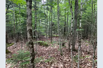 Lot 29 Scammon Road, Greenville, ME 04441 - Photo 10