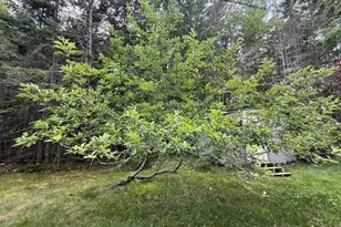 96 Indian Trail Rd, East Machias, ME 04630 - Photo 36