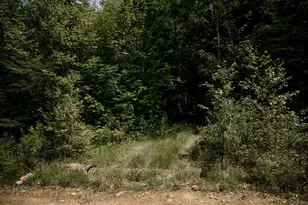 208 Rover Rd, Dixfield, ME 04224 - Photo 8