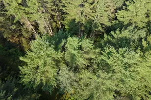 6 The Pnes Dr, New Portland, ME 04961 - Photo 52