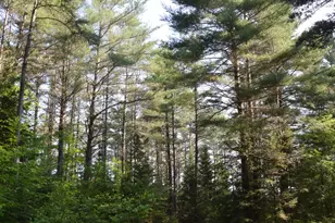 6 The Pnes Dr, New Portland, ME 04961 - Photo 42