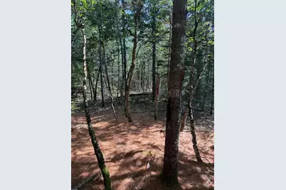 1026 Bucks Mills Road, Bucksport, ME 04416 - Photo 14