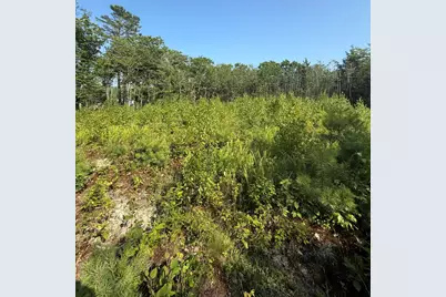 1026 Bucks Mills Road, Bucksport, ME 04416 - Photo 12