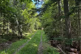 233 Church Rd, Oxbow, ME 04764 - Photo 14