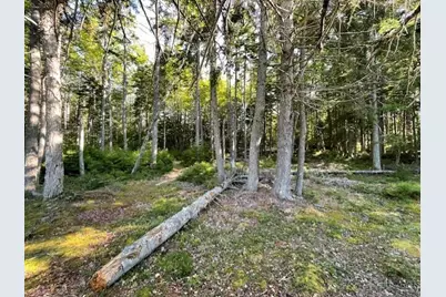 Lot # 15-2 Fort Williams Road, Harrington, ME 04643 - Photo 12