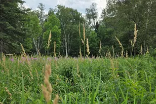 858 Allagash Rd, Allagash, ME 04774 - Photo 40