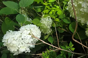 27 Mountain View Rd, Leeds, ME 04263 - Photo 60