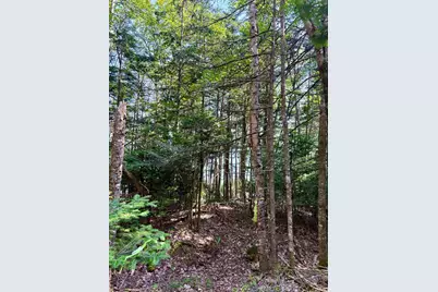 Lot 95 N Duck Cove Road, Roque Bluffs, ME 04654 - Photo 10