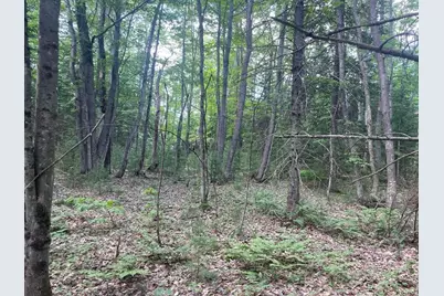 80 Gammon Road, Peru, ME 04290 - Photo 14