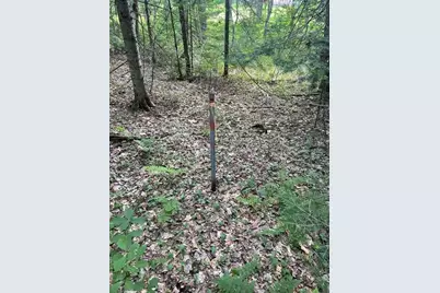 80 Gammon Road, Peru, ME 04290 - Photo 16