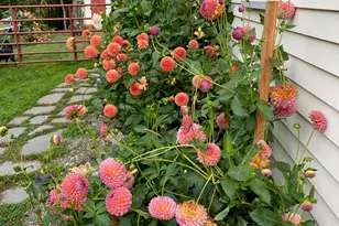 1020 Hendricks Hill Rd, Southport, ME 04576 - Photo 102