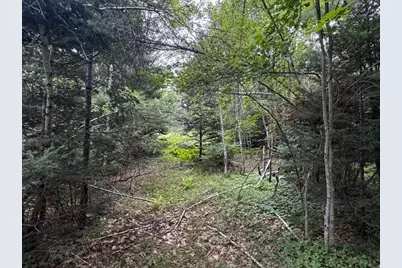 M2 L21-2 S Ridge Road, Palmyra, ME 04965 - Photo 1