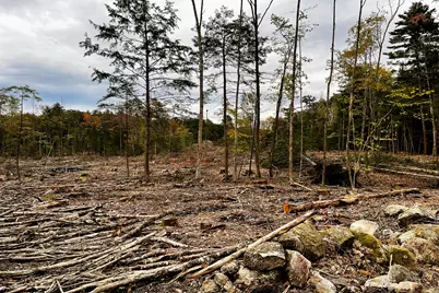 Tbd Pond Road, West Gardiner, ME 04345 - Photo 12