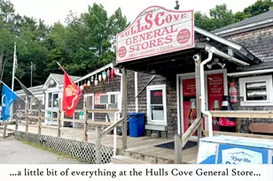 18 Hamor Ln, Bar Harbor, ME 04609 - Photo 70