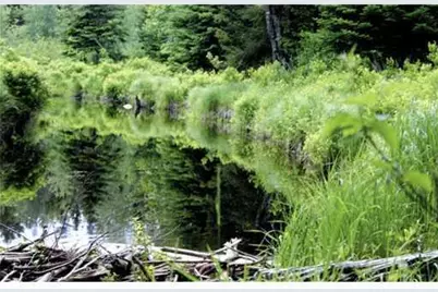 Map 3 - 30 Marshfield Flats Road, Marshfield, ME 04654 - Photo 1