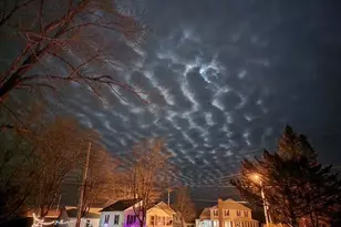 10 Palm St, Baileyville, ME 04694 - Photo 106