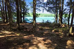 39 Tilton Pond Rd, Fayette, ME 04349 - Photo 88