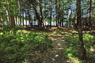 39 Tilton Pond Rd, Fayette, ME 04349 - Photo 86