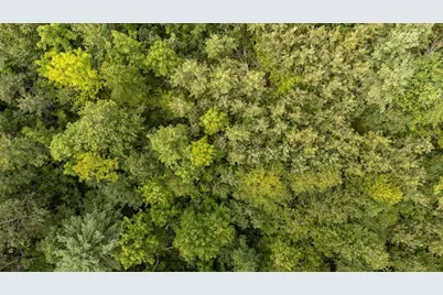 Part Of Map 7 Lot 48-A Nelson Ridge Road S, Washington, ME 04574 - Photo 8