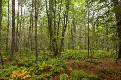 Part Of Map 7 Lot 48-A Nelson Ridge Road S, Washington, ME 04574 - Photo 6