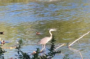 147 N Main St, Monmouth, ME 04265 - Photo 36