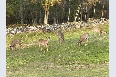 507 Mount Pleasant Street, Rockport, ME 04856 - Photo 114