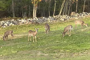 507 Mt Pleasant St, Rockport, ME 04856 - Photo 114