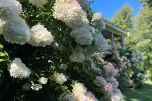 33 Sea View Dr, Lincolnville, ME 04849 - Photo 34