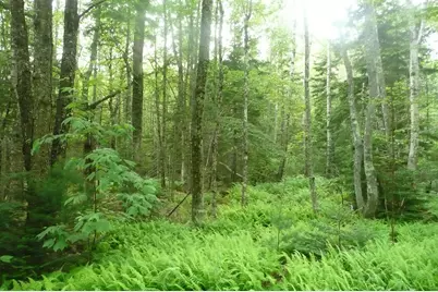 471 South Road #A, Chebeague Island, ME 04017 - Photo 14