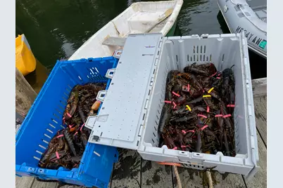 471 South Road #B, Chebeague Island, ME 04017 - Photo 20