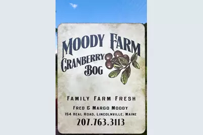 000 Heal Road, Lincolnville, ME 04849 - Photo 10