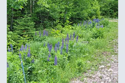 017-001 Blackberry Lane Lane, Rumford, ME 04276 - Photo 38