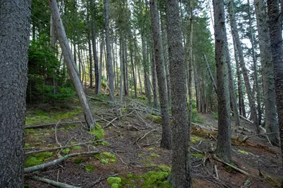 0 Bayview Road #2, Harpswell, ME 04066 - Photo 38