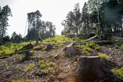 0 Bayview Road #2, Harpswell, ME 04066 - Photo 28