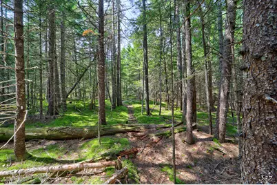 Lot 3 Bear Springs Lane, Surry, ME 04684 - Photo 2