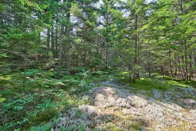 Lot 3 Bear Springs Lane, Surry, ME 04684 - Photo 4