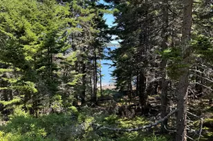 90 Greens Island, Vinalhaven, ME 04863 - Photo 12