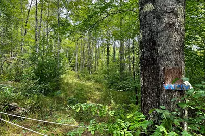 47C Spiritwind Farm Road, Lebanon, ME 04027 - Photo 24