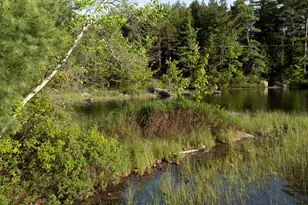 548 Allen Pond Rd, Greene, ME 04236 - Photo 70