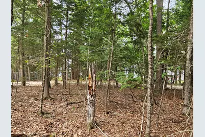 0 Gould Road, Orono, ME 04473 - Photo 12